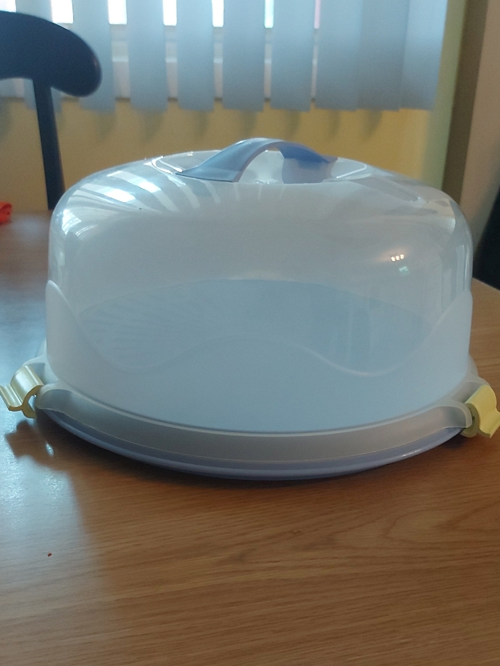 Cake Carrier